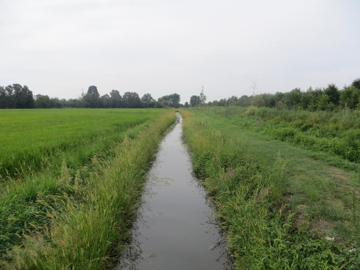 Agriturismo Le Risaie Basiglio Eksteriør billede