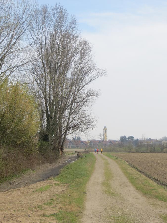 Agriturismo Le Risaie Basiglio Eksteriør billede